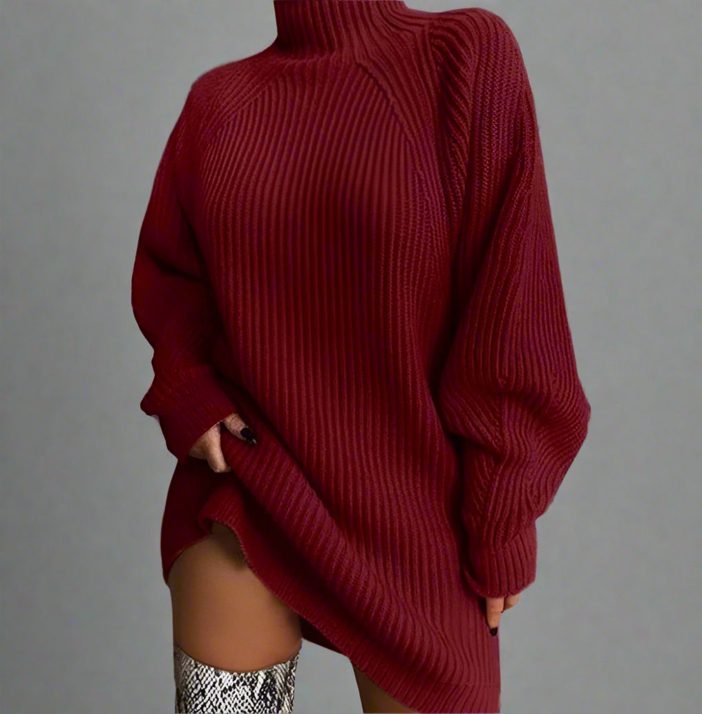 Turtleneck Long Sleeve Sweater Autumn Winter Dress | Body Central