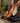 41056936-3004-459e-86c9-0484cd829b1b-Max-Origin